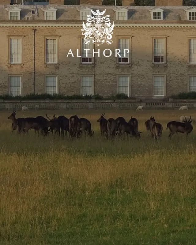 This weekend only, enjoy 20% off all tickets for our Summer House Opening in celebration of Father’s Day! Use code FATHERSDAY20 at checkout. The House and Grounds will be open to the public from 3 July to 31 August. To book your tickets and view FAQs, please visit: www.althorp.com This promotional offer is valid until 23:59 on 15 June 2025.